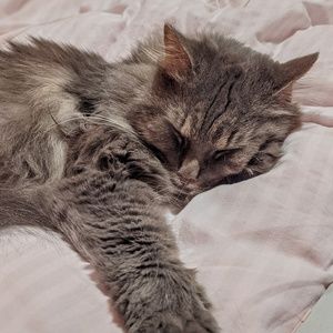 Meet your Posher, Karina